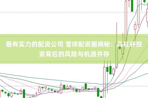 最有实力的配资公司 雪球配资圈揭秘：高杠杆投资背后的风险与机遇并存