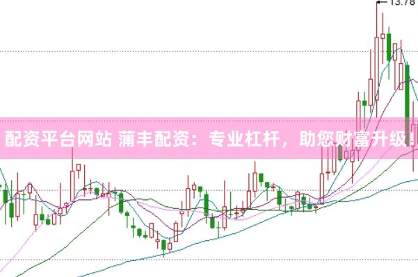 配资平台网站 蒲丰配资：专业杠杆，助您财富升级！