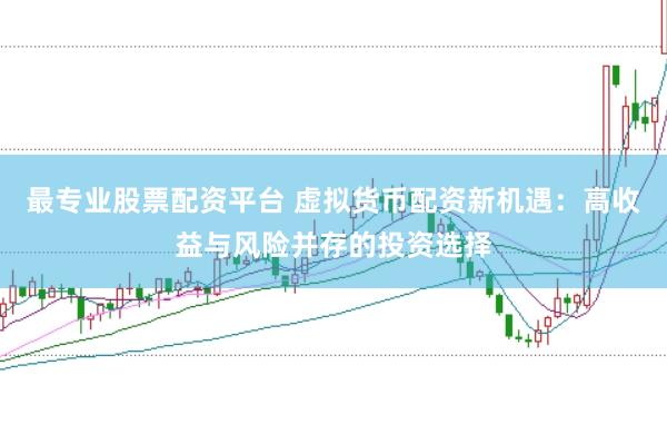 最专业股票配资平台 虚拟货币配资新机遇：高收益与风险并存的投资选择