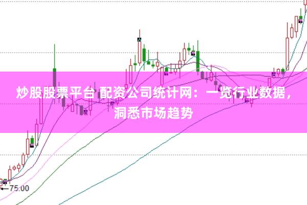 炒股股票平台 配资公司统计网：一览行业数据，洞悉市场趋势