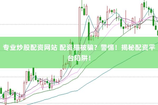 专业炒股配资网站 配资猫被骗？警惕！揭秘配资平台陷阱！