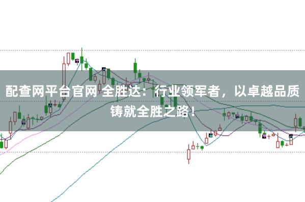 配查网平台官网 全胜达：行业领军者，以卓越品质铸就全胜之路！
