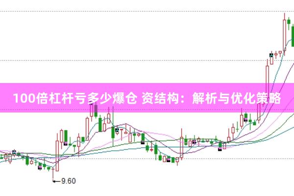 100倍杠杆亏多少爆仓 资结构：解析与优化策略