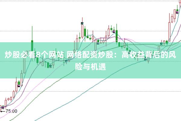 炒股必看8个网站 网络配资炒股：高收益背后的风险与机遇