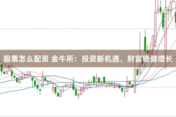 股票怎么配资 金牛所：投资新机遇，财富稳健增长