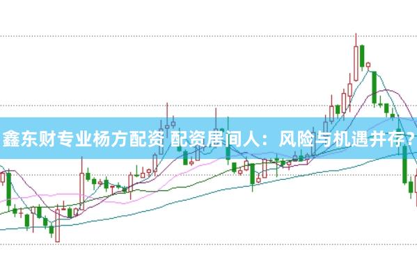 鑫东财专业杨方配资 配资居间人：风险与机遇并存？