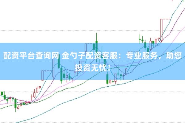 配资平台查询网 金勺子配资客服：专业服务，助您投资无忧！