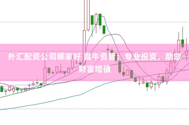 外汇配资公司哪家好 赢牛资管：专业投资，助您财富增值