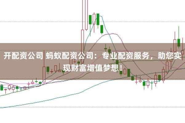 开配资公司 蚂蚁配资公司：专业配资服务，助您实现财富增值梦想！