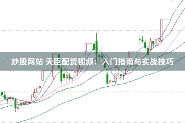 炒股网站 天臣配资视频：入门指南与实战技巧