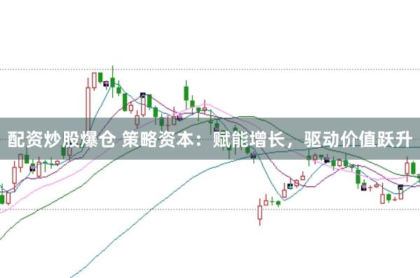 配资炒股爆仓 策略资本：赋能增长，驱动价值跃升