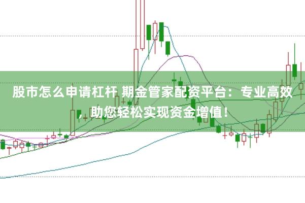 股市怎么申请杠杆 期金管家配资平台：专业高效，助您轻松实现资金增值！