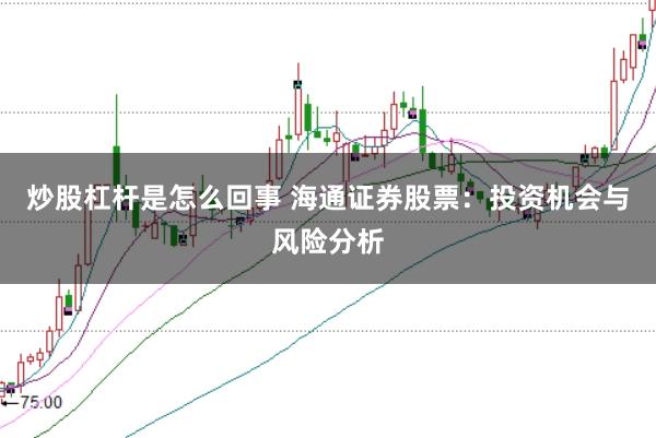 炒股杠杆是怎么回事 海通证券股票：投资机会与风险分析