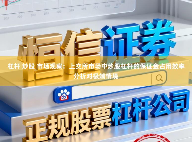 杠杆 炒股 市场观察:上交所市场中炒股杠杆的保证金占用效率分析对极端情境